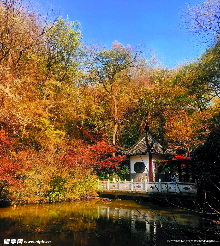 栖霞山秋天