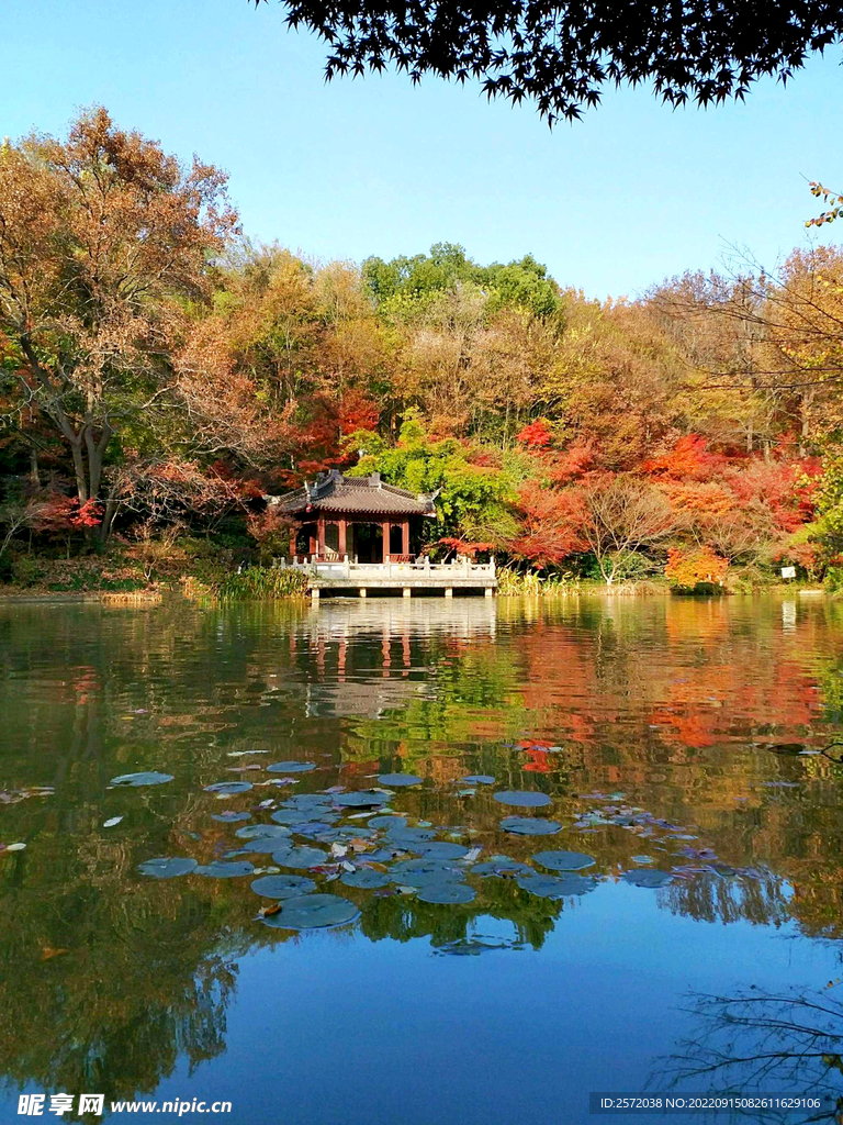 栖霞山秋天