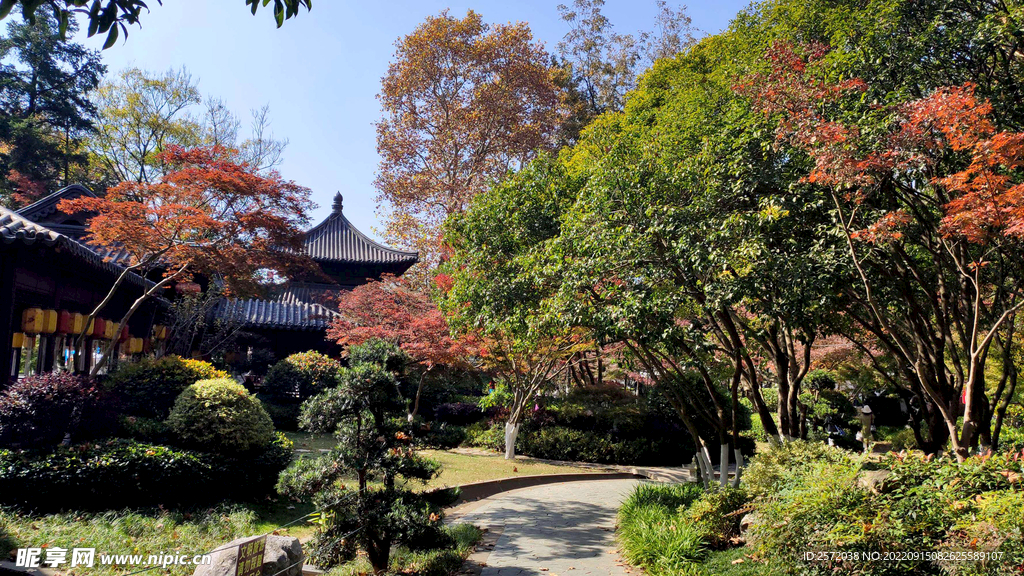 栖霞山秋天