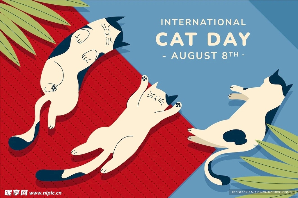 卡通猫