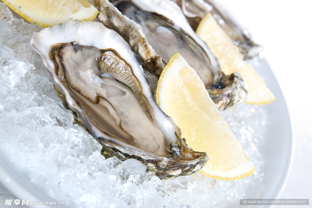 冰冻生蚝