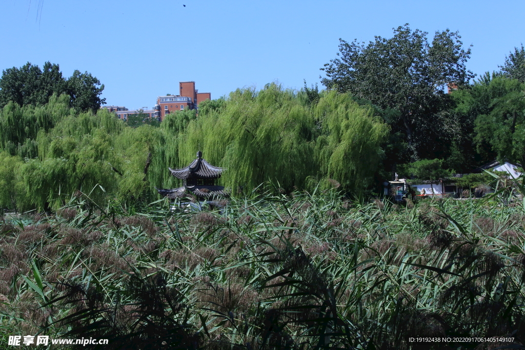 陶然亭风景 