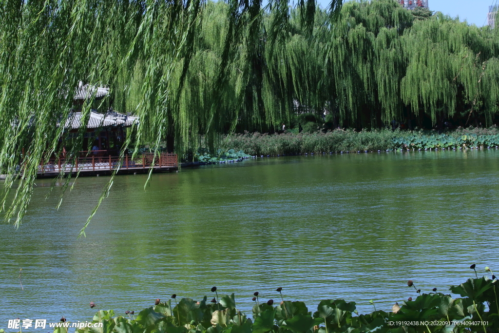 陶然亭风景 