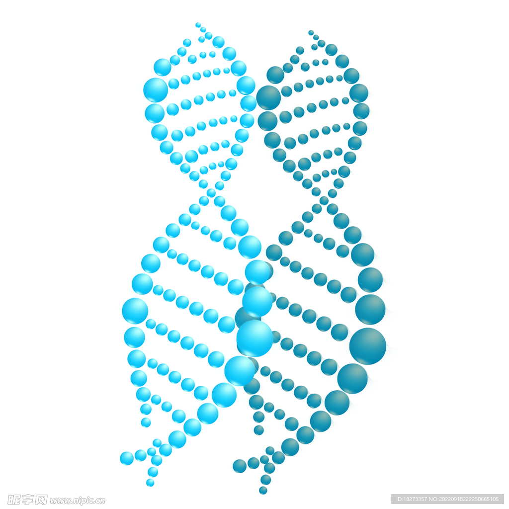分子模型