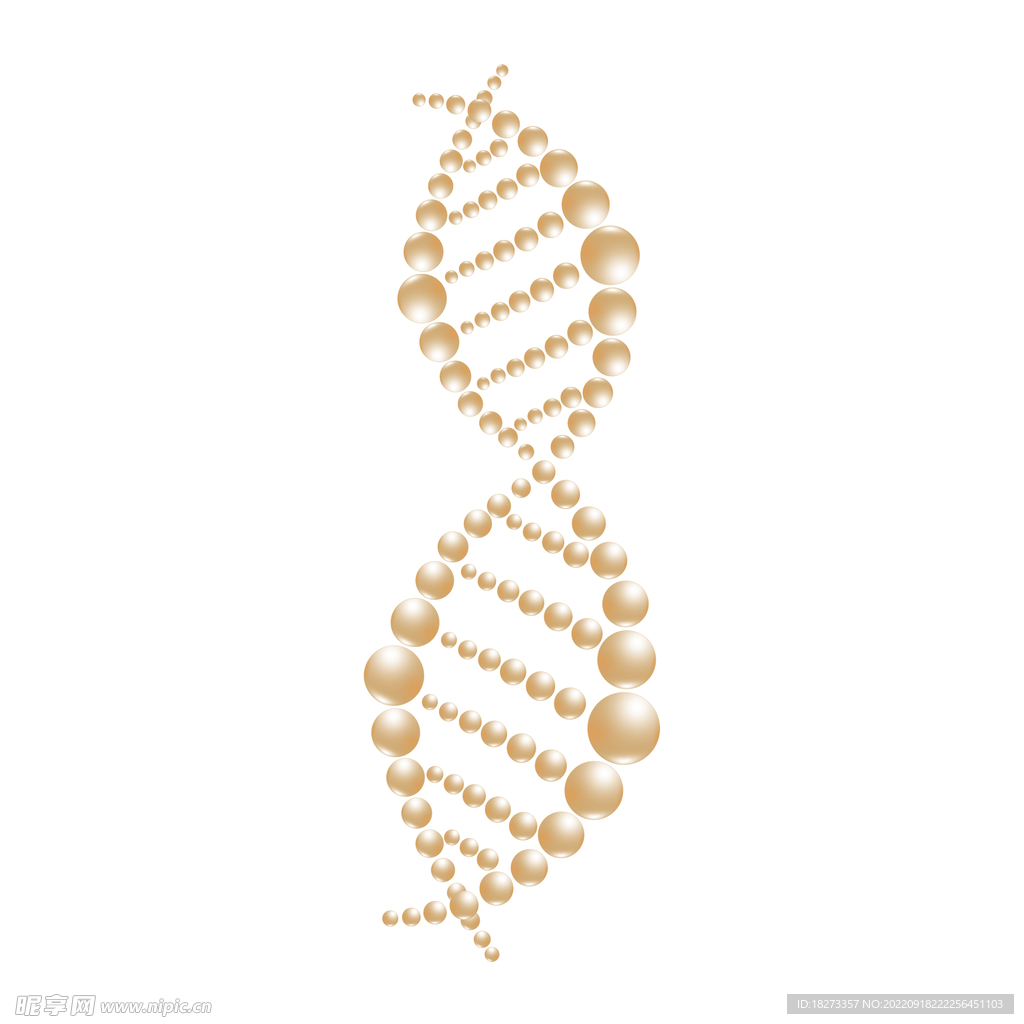 分子模型
