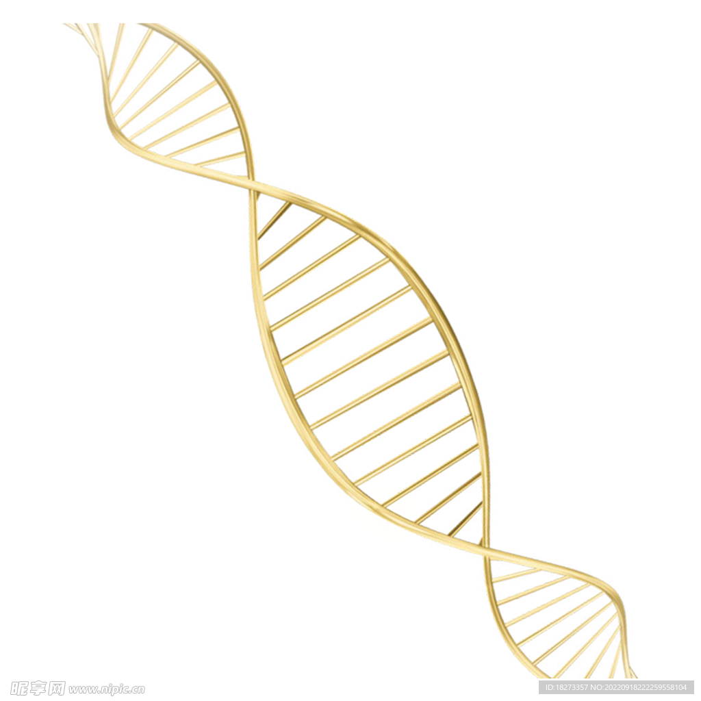 分子模型