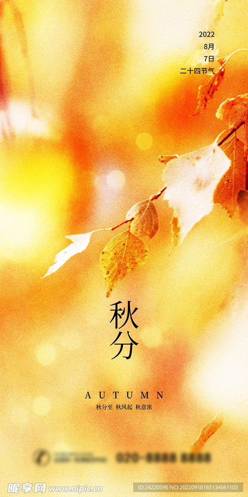 秋分