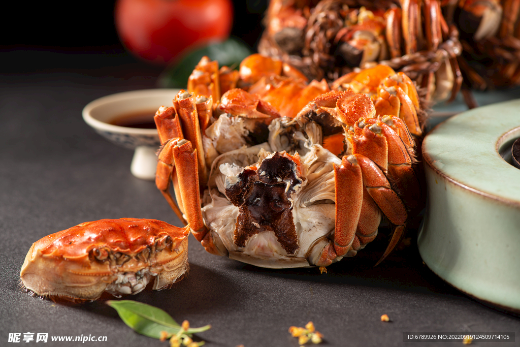 螃蟹大闸蟹