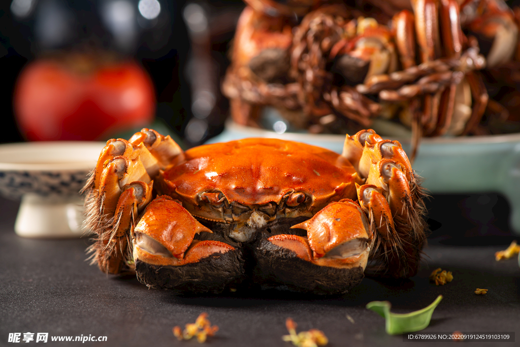 螃蟹大闸蟹