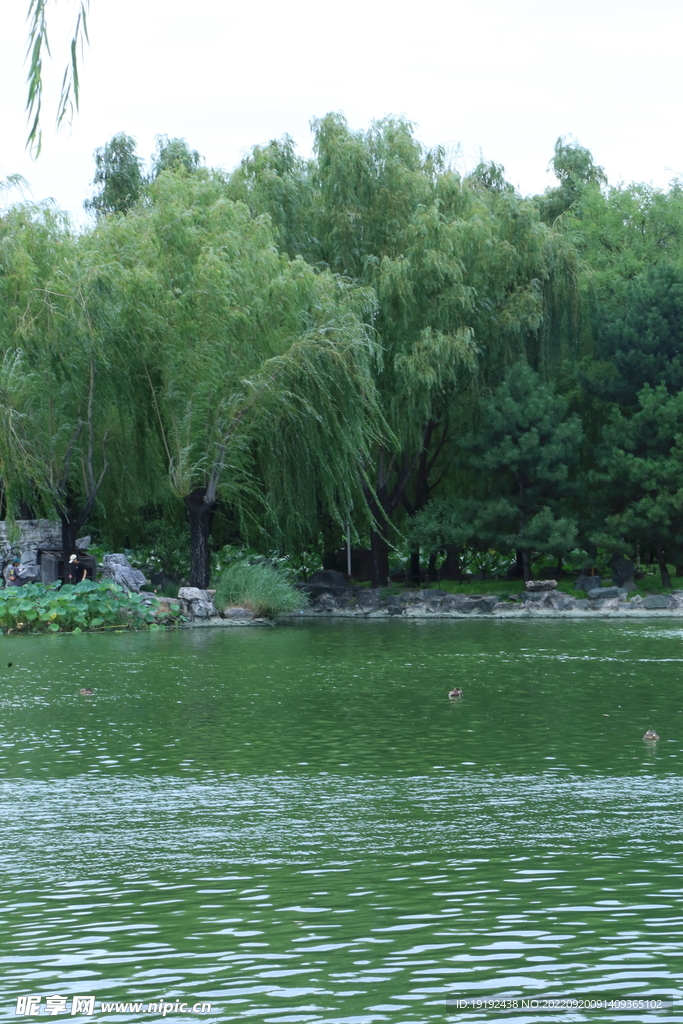 公园风景 