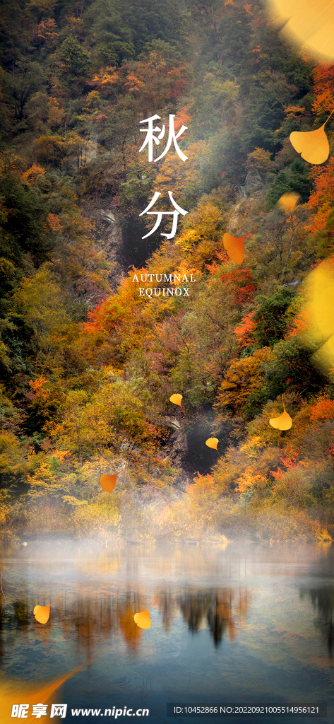 秋分