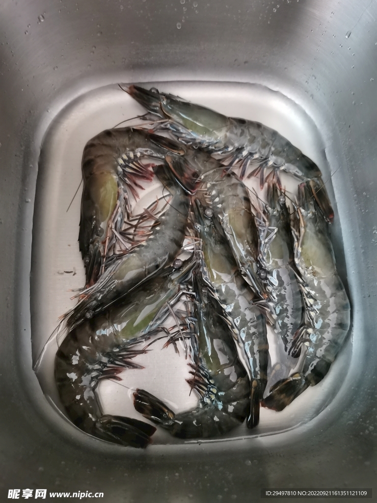 黑虎虾