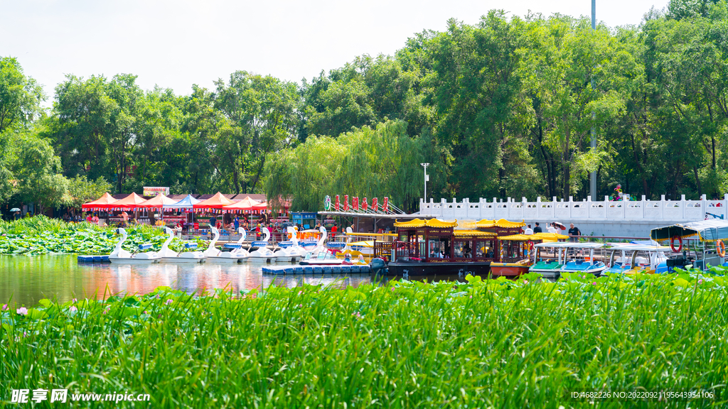 沈阳天柱排青公园龙潭荷花湖西码