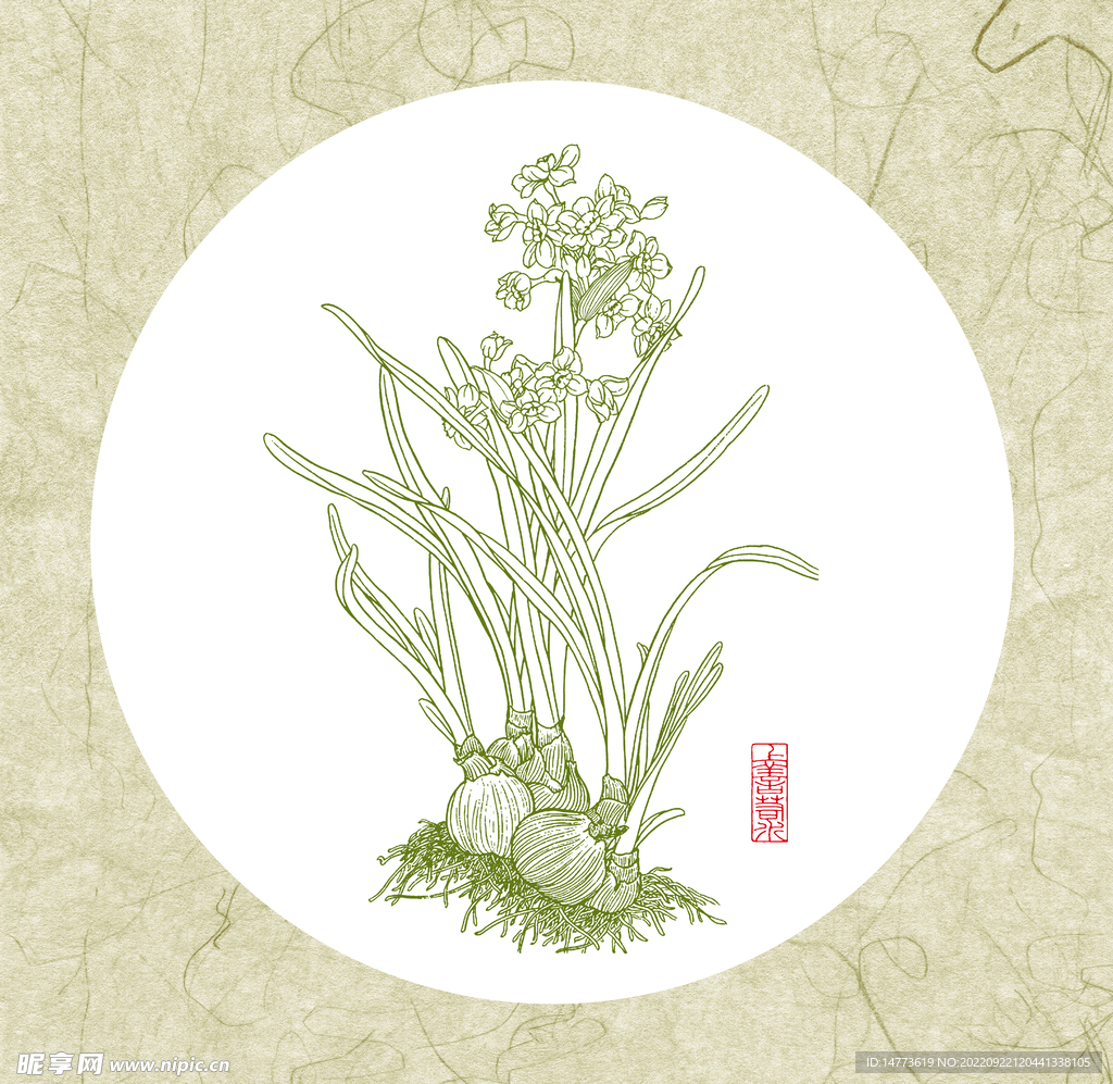水仙花白描图