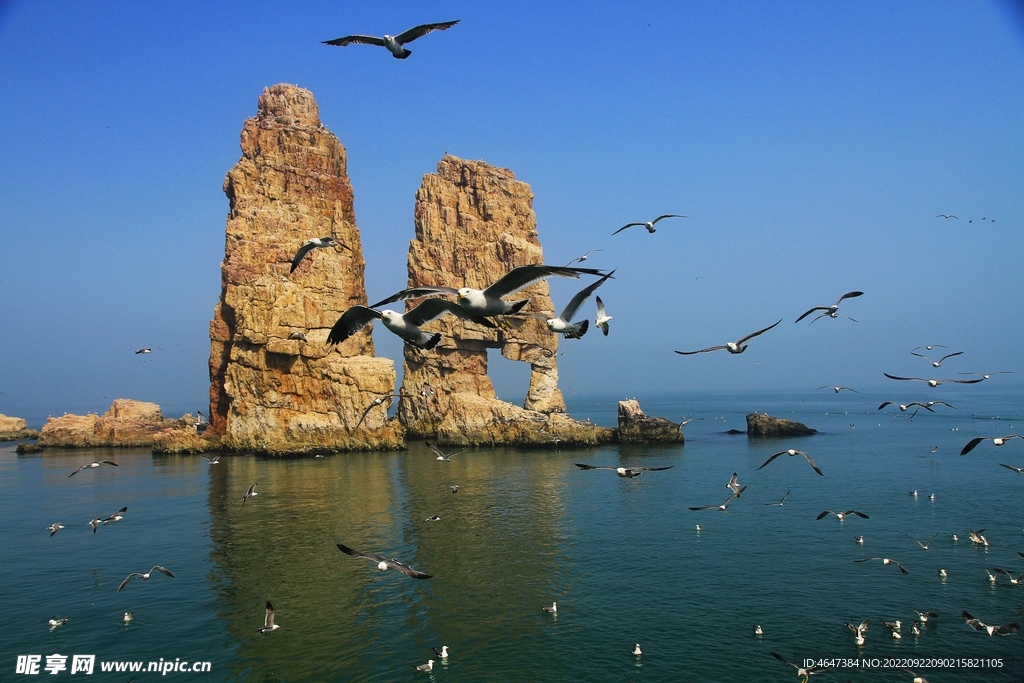 海岛