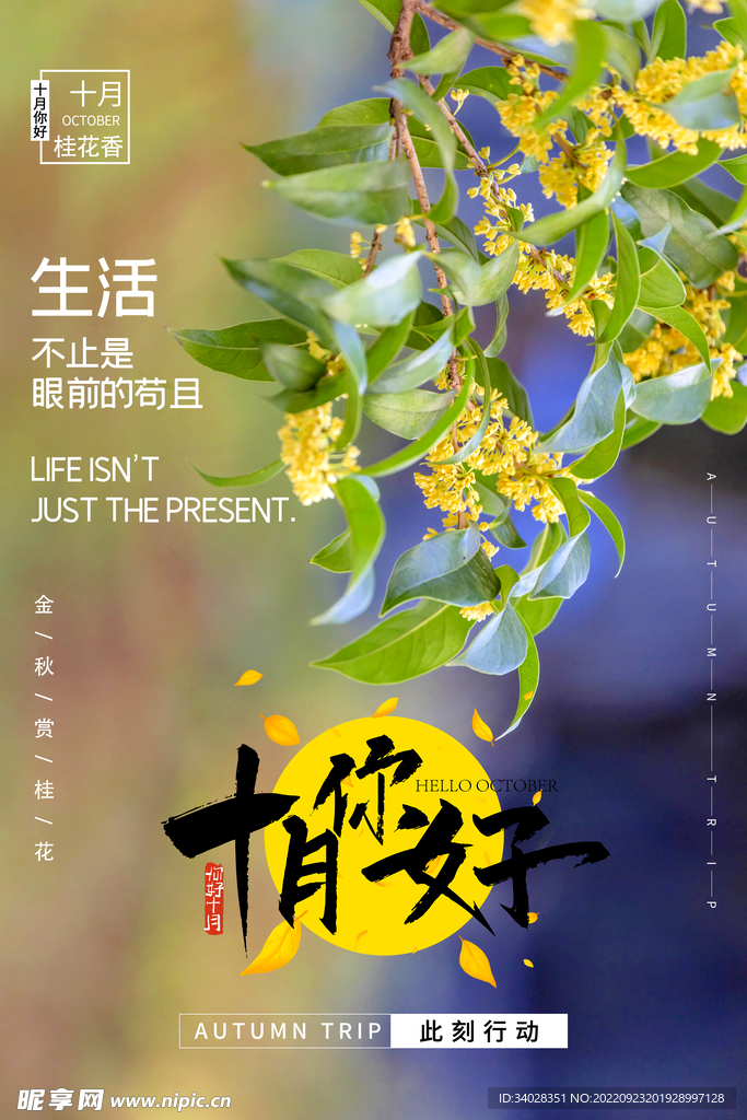 十月你好