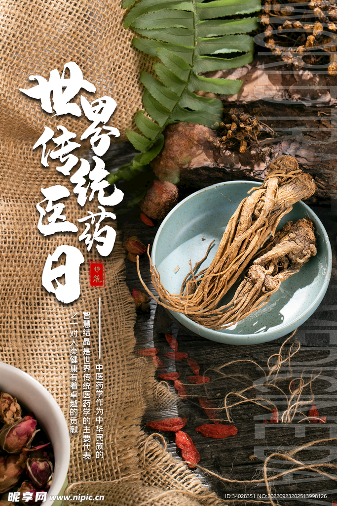 世界传统医药日