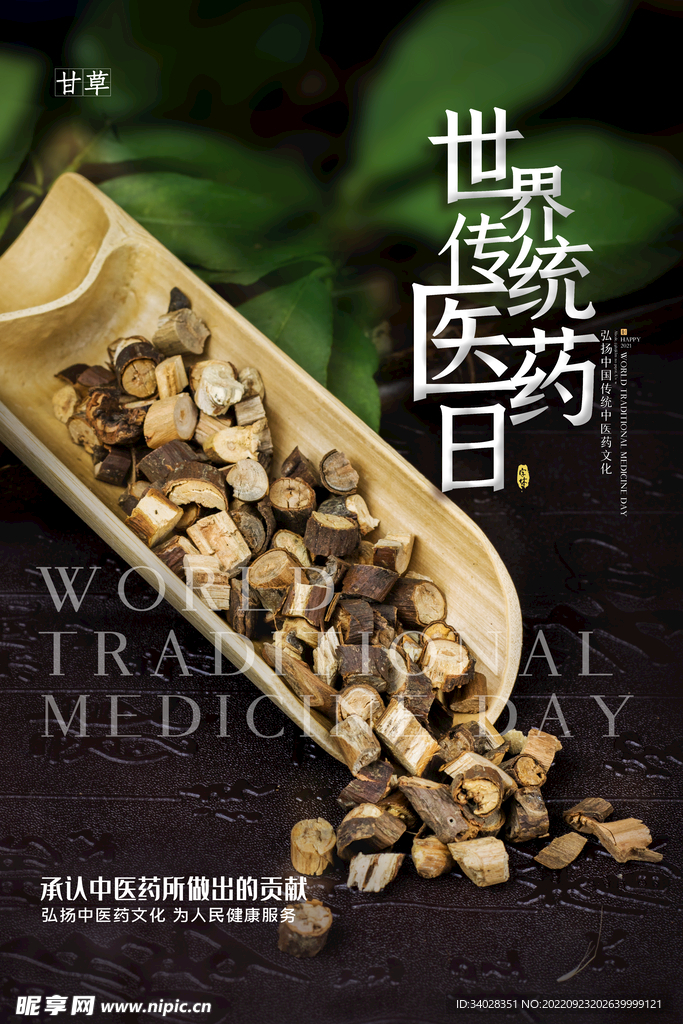 世界传统医药日