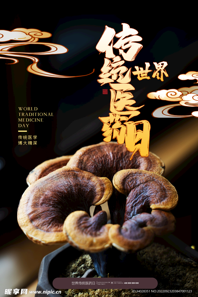 世界传统医药日
