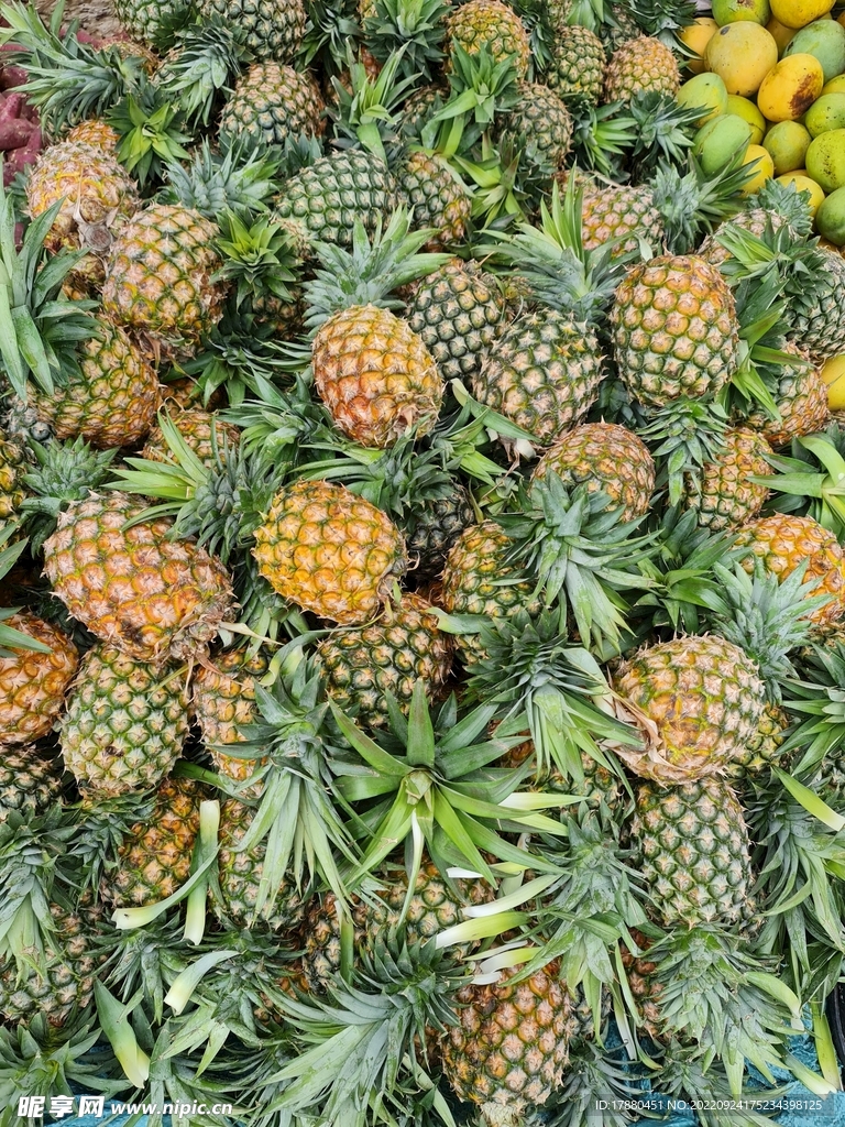 菠萝