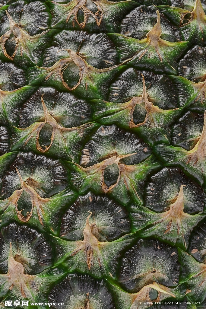 菠萝