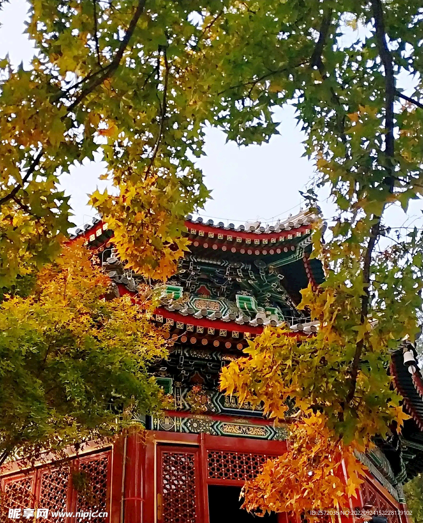 北京香山公园