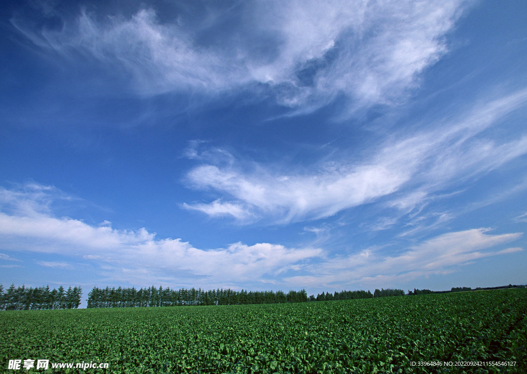 天空