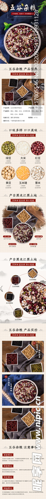 五谷详情页 杂粮 丰登 粗粮 