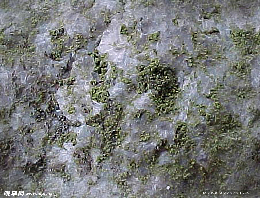 壁纸