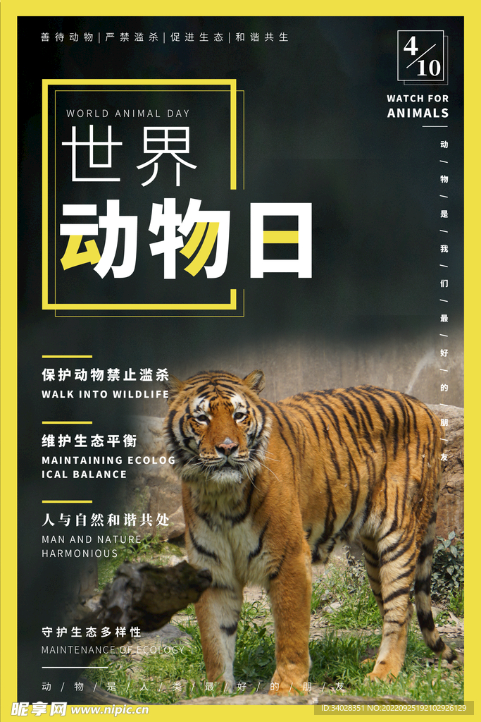 世界动物日海报