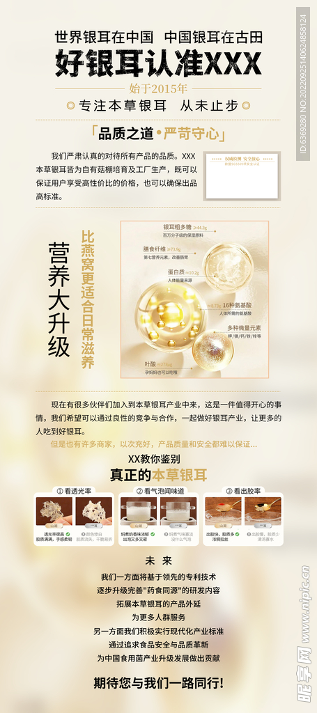银耳海报