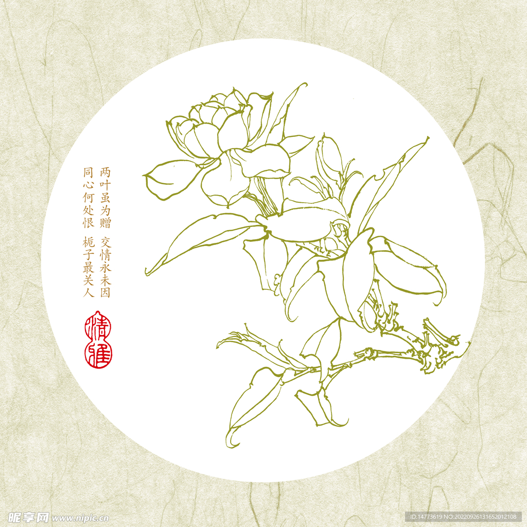 高清白描栀子花图