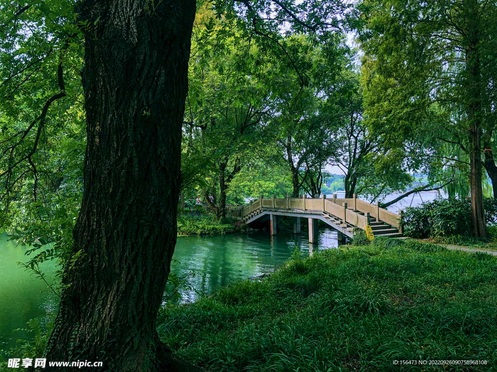 西湖风景