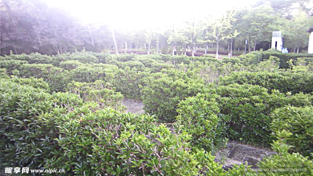 迷宫视频 美丽 短视频素材 