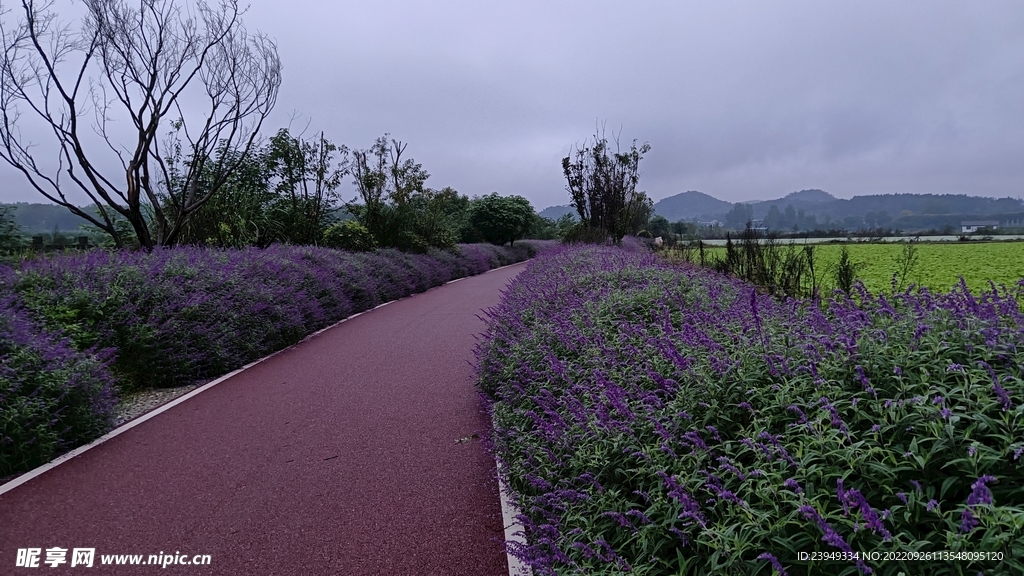 公路