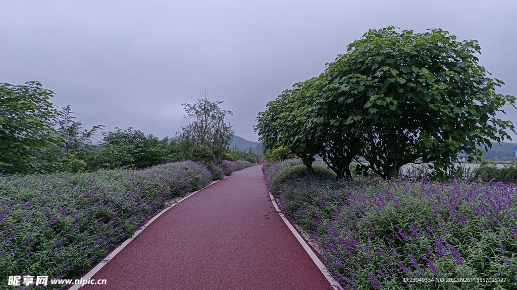 公路