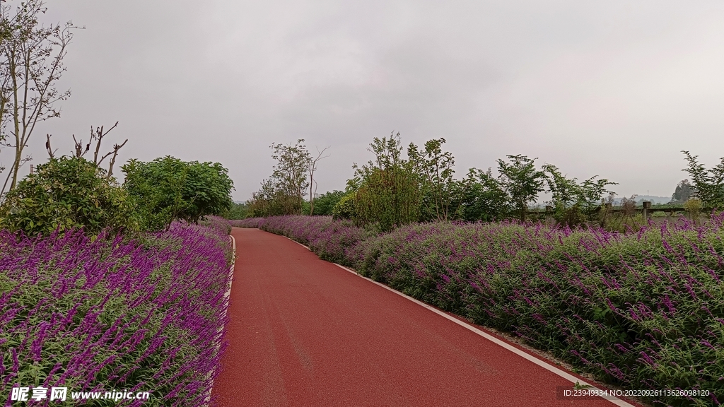公路