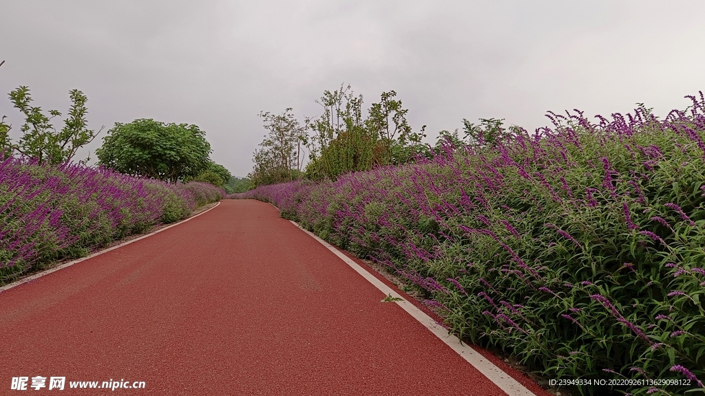 公路
