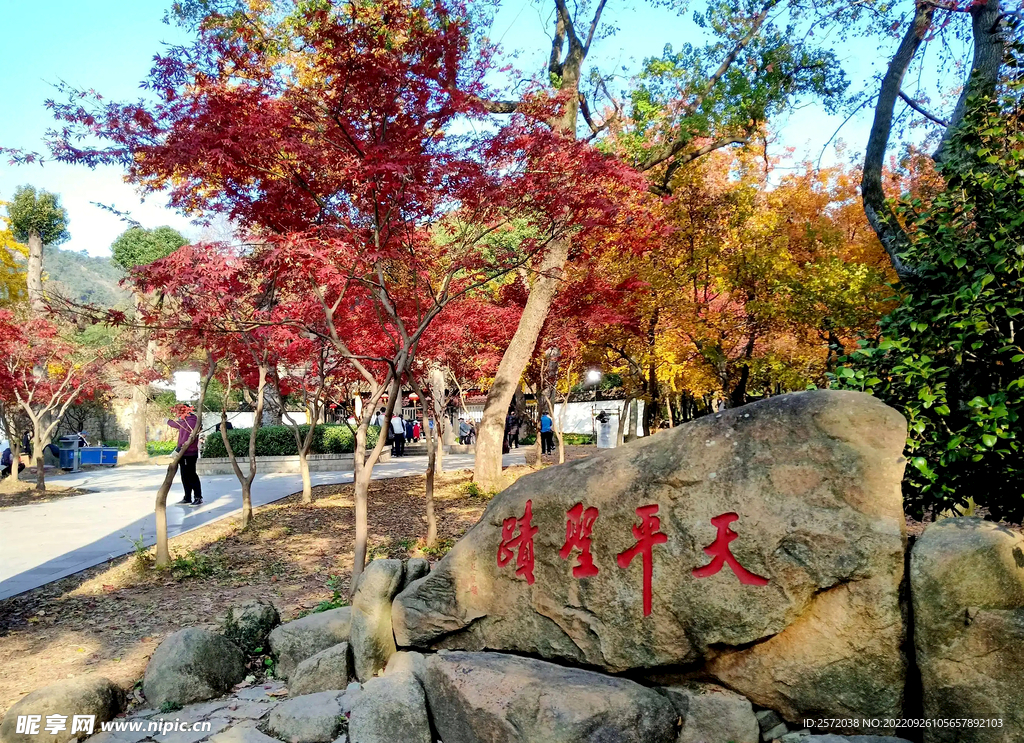 天平山秋天