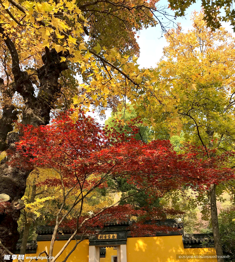 天平山秋天