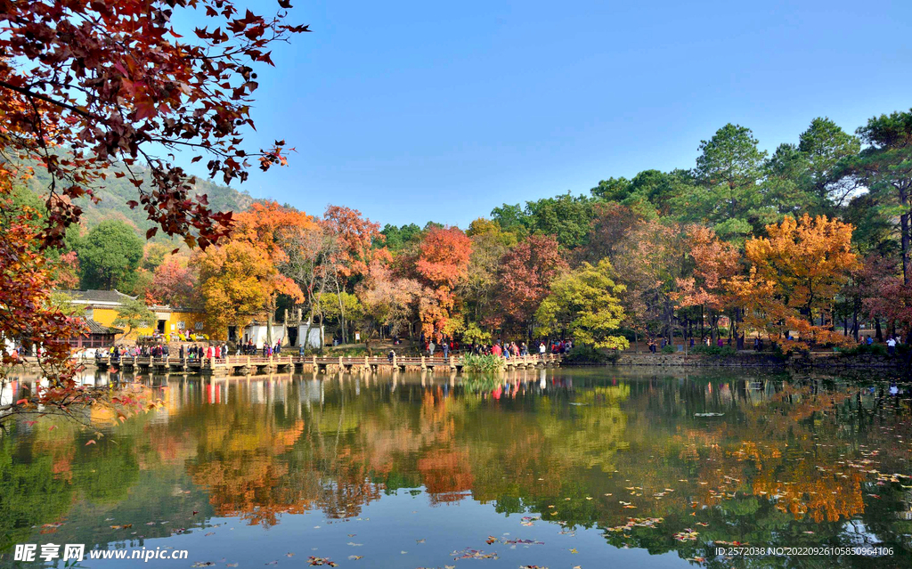 天平山秋天