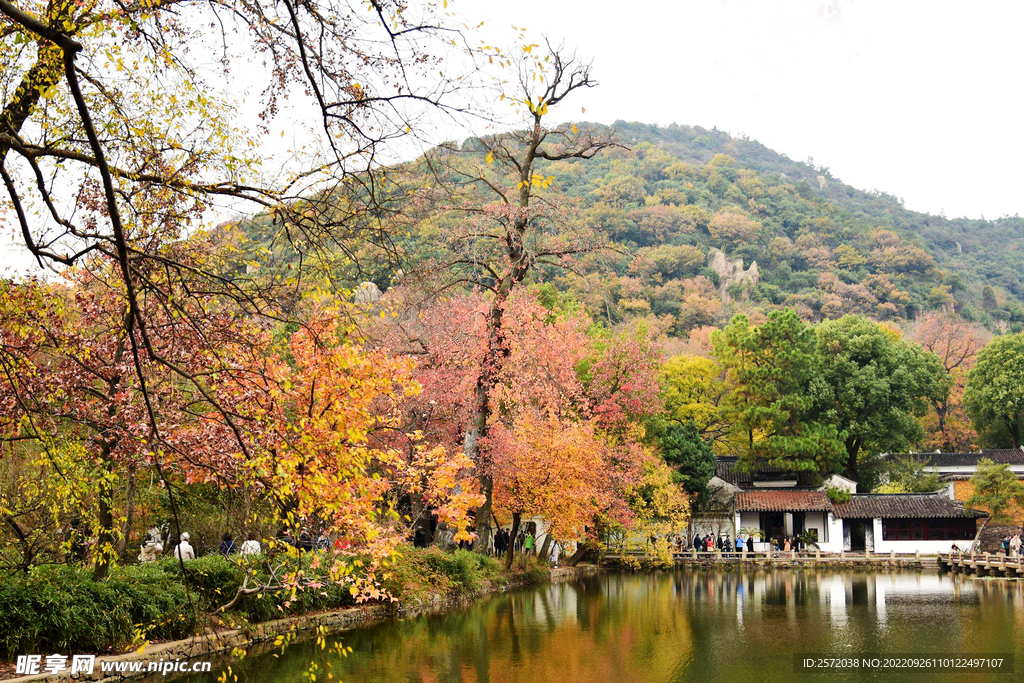 天平山秋天