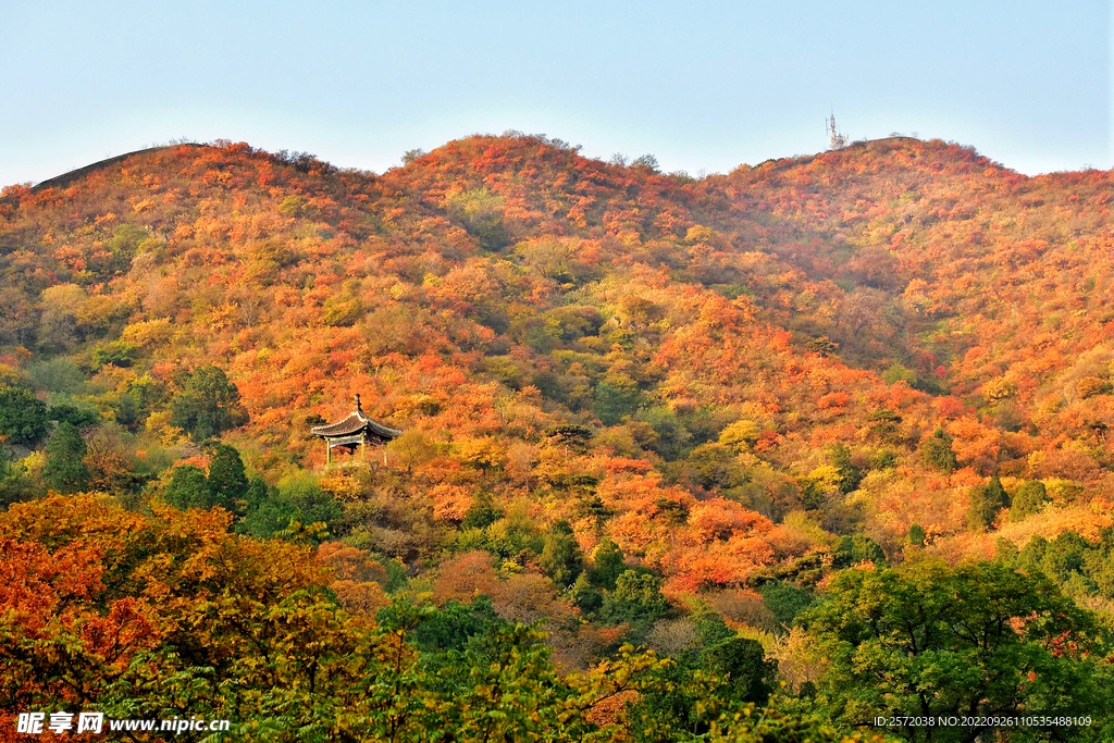 香山秋天