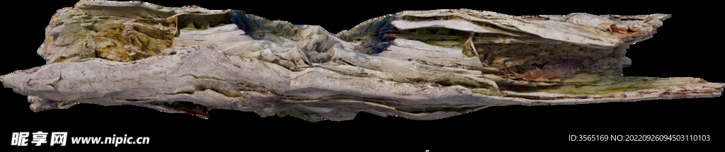 干枯树枝超清枯木素材