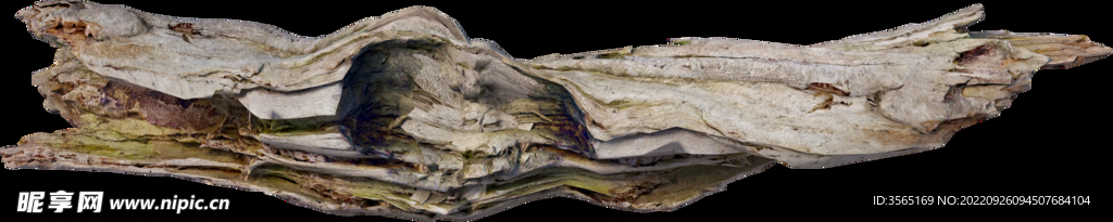 干枯树枝超清枯木素材