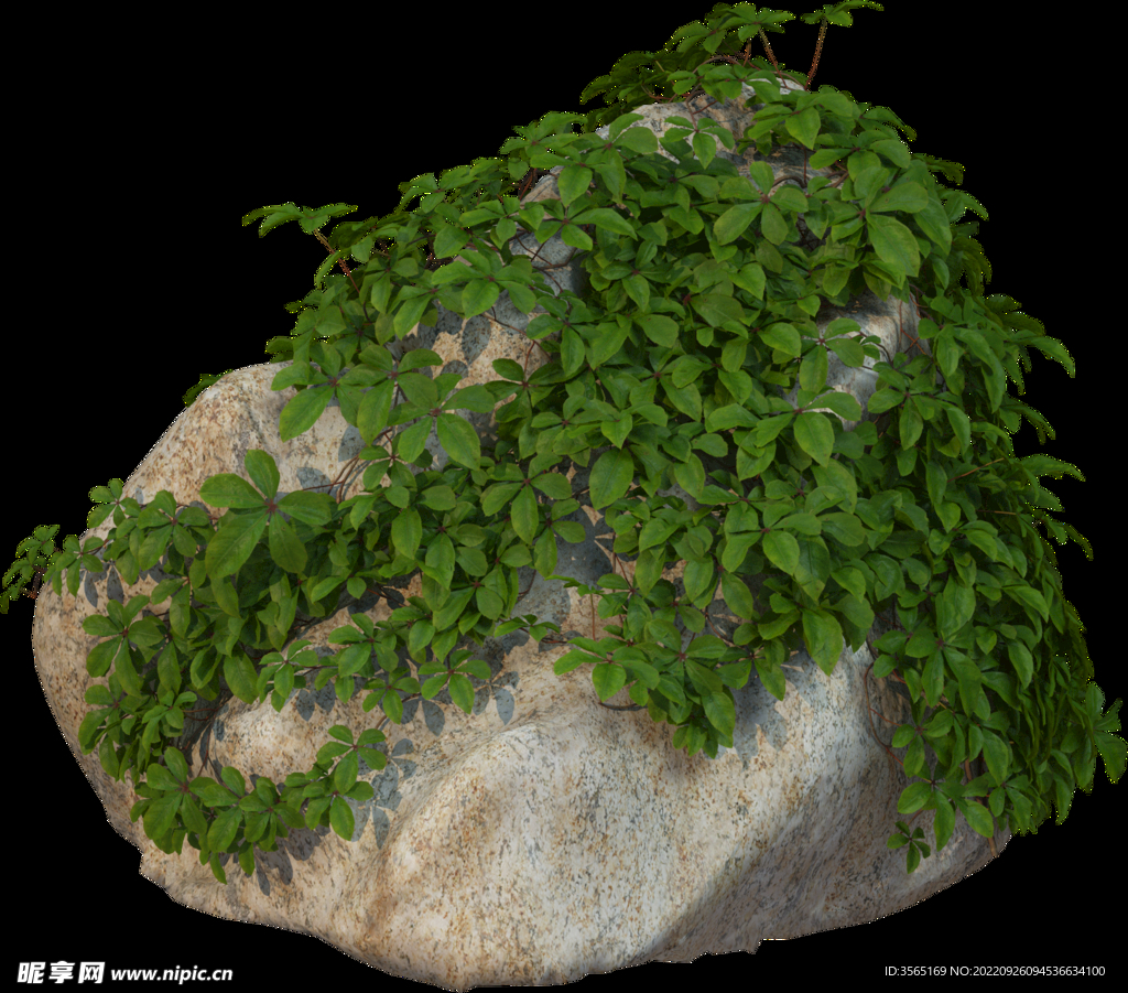 绿藤石块植物景观石岩石素材