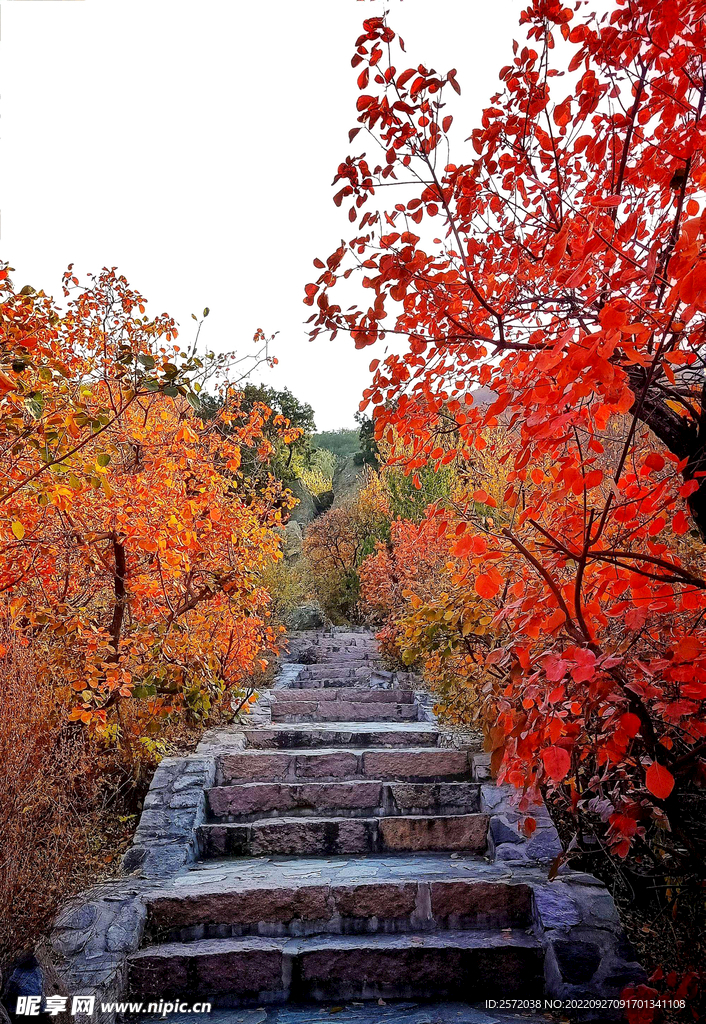 香山秋天