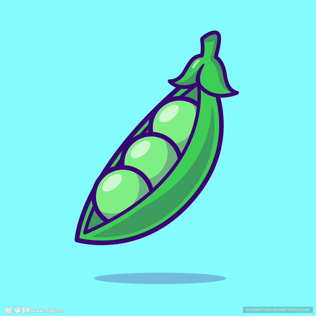 豌豆矢量插画