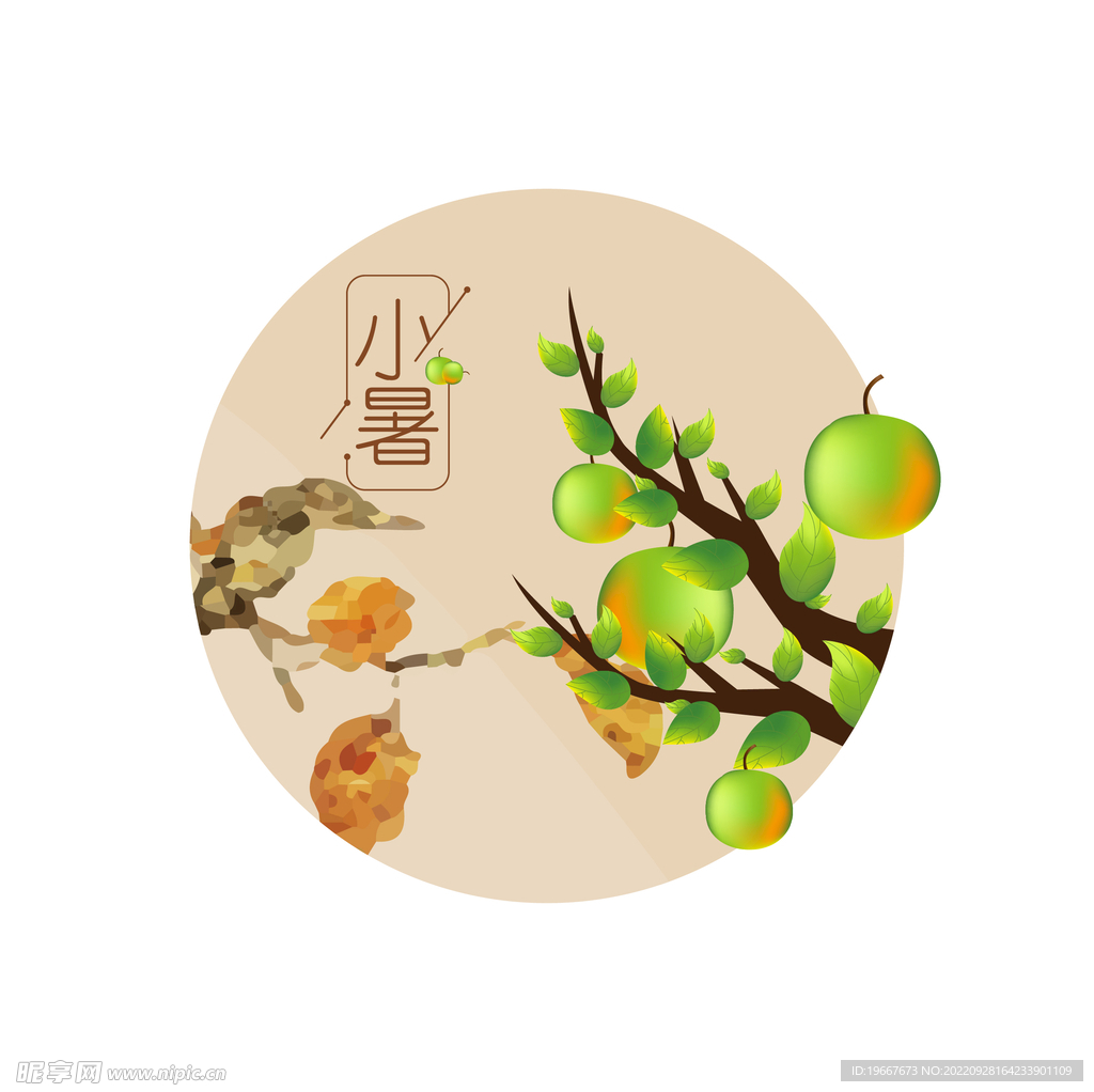 小暑