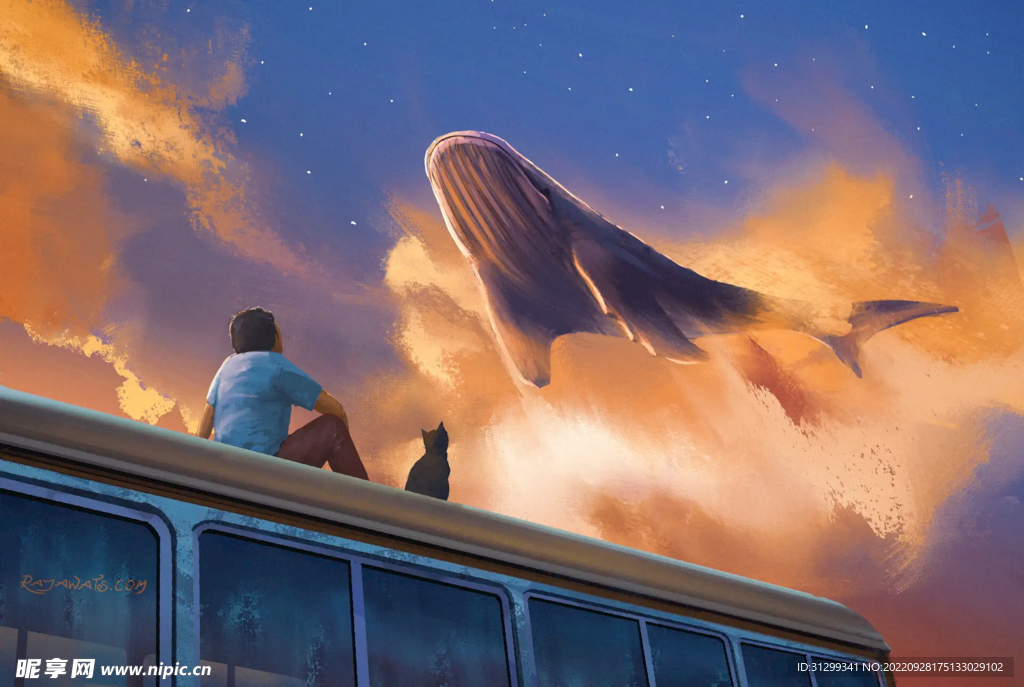 仰望天空